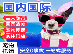 延吉航空快运国际宠物托运 【国
